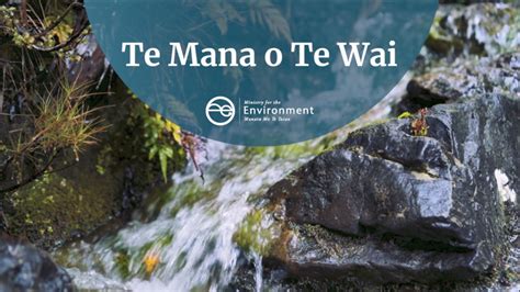 Te Mana O Te Wai Fund Supports Marae Whānau And Hapū Led Freshwater