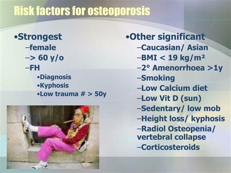 PPT - Osteoporosis PowerPoint Presentation, free download - ID:5030386