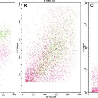 Flow Chamber Analysis During Fluorescence Assisted Cell Sorting FACS