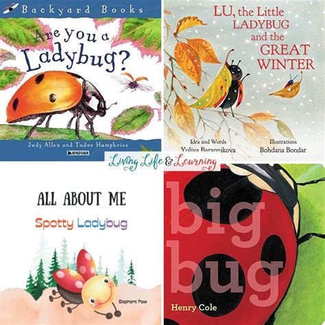 Ladybug Books for Preschoolers