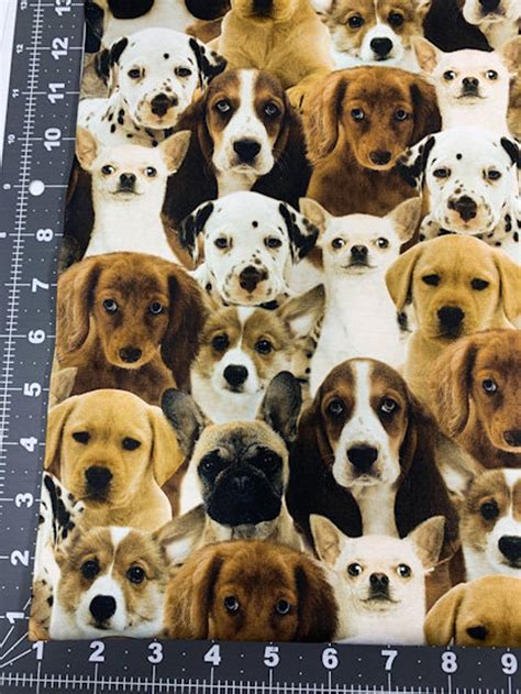 Puppy Dog Cotton Fabric By The Yard 50065d X Labrador Puppy Etsy