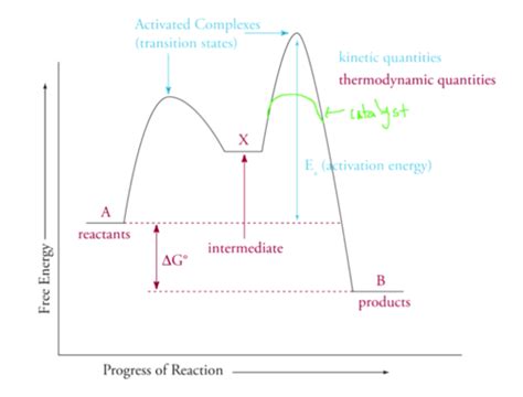 Kinetics And Equilibrium Flashcards Quizlet