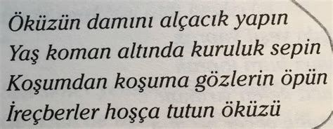 Metin Solmaz On Twitter Pir Sultan Abdal M Thi Biri Ve Hayvan Dostu