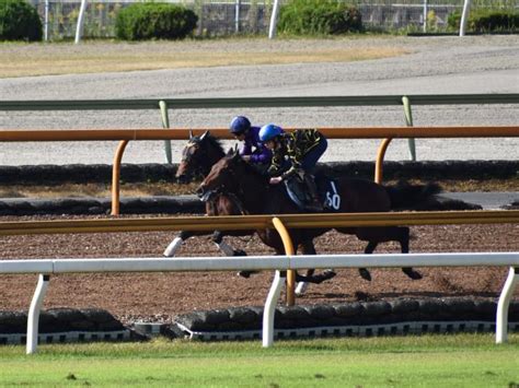 ダノンタッチダウン、デイリー杯2歳s1週前追い切り速報栗東トレセンニュース 競馬ニュース Netkeiba