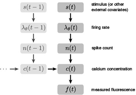 Graphical Representation Of Model Assumptions And Dependencies The Download Scientific Diagram