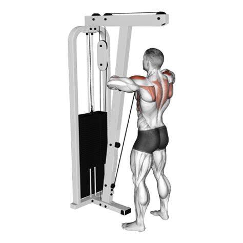 what does upright rows work 8