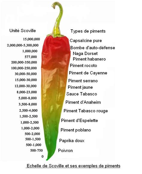 Echelle De Scoville Pourquoi Le Piment Pique