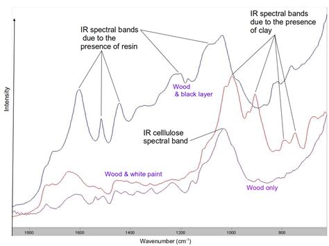 X Ray Tomography And Infrared Spectrometry For The Analysis Of Throwing