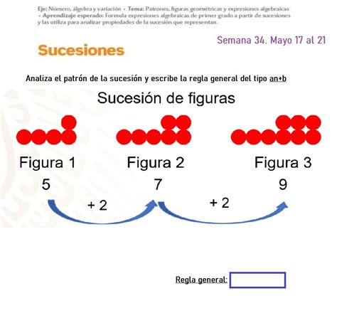 Regla General De Sucesiones Ficha Interactiva Topworksheets Porn Sex