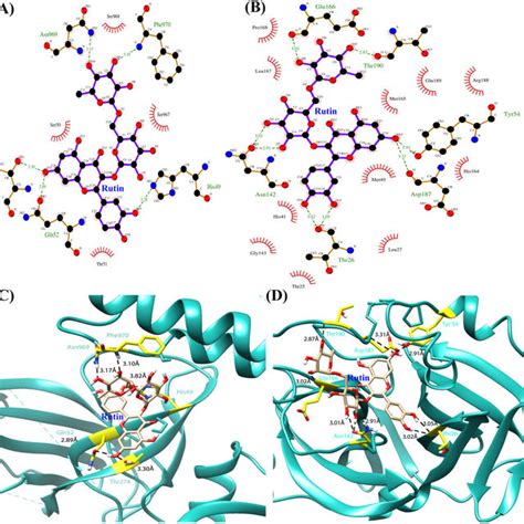 Protein Ligand Interactions Diagram Of Spike Protein And Main Protease