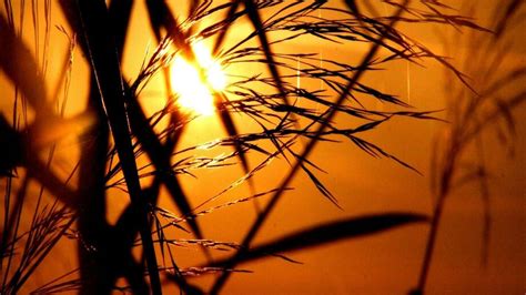 Fim de semana será de calor na Baixada risco de temporais à tarde