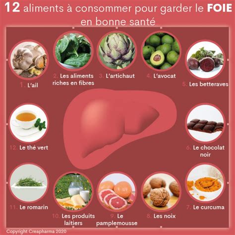 Aliments Bons Pour Le Foie Que Faut Il Manger Pour Garder Le Foie En