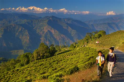 Bagdogra To Darjeeling: All Ways to Go & Memorable Stopovers