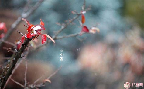 2017小寒的节气祝福语说说朋友圈 2017关于小寒的个性句子心情说说 八宝网