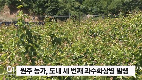 원주서 도내 세 번째 과수화상병 발생