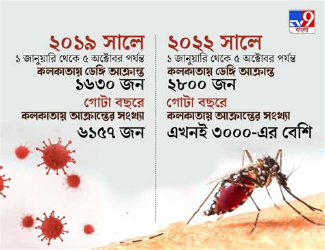 Dengue গত দশ বছরের রেকর্ড কি ভেঙে দেবে এবারের ডেঙ্গি সংক্রমণ বাড়ছে আশঙ্কা Bengali News