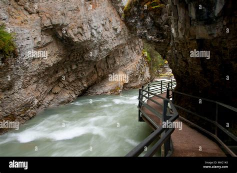 Catwalk Above Johnston Creek Along Johnston Canyon Trail Banff