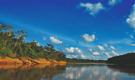 La Ruta De La Deforestaci N Y El Tr Fico De Madera En Madre De Dios