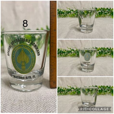 Vintage Florida Souvenir Travel Shot Glasses Florida Gators Etsy