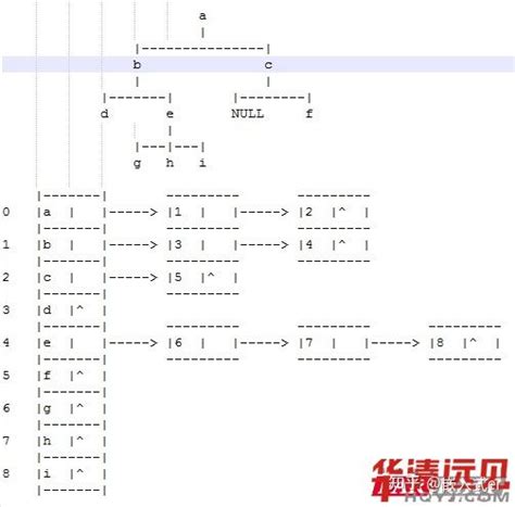 树的存储结构 知乎