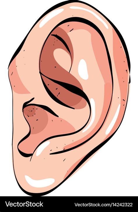 Cartoon Image Of Human Ear Royalty Free Vector Image