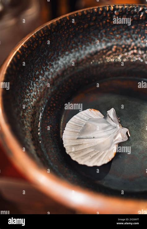 Baptism Shell Symbol and Holy Water Stock Photo - Alamy