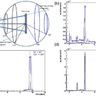 A The Figure Shows Gamma Detection Setup The Gammas Crossing The