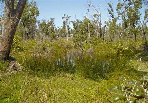 Cooloola Wilderness Trail