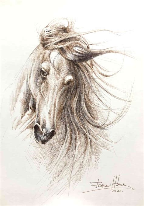 SPANISH HORSE SKETCH - Arte Herrera