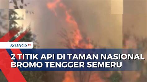 Imbas Kebakaran Hutan Dan Lahan Vegetasi Lokasi Wisata Ke Gunung Bromo