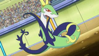 Serperior Wiki Pok Mon Amino