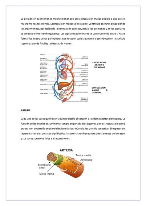 Glosario Universidad Regional Aut Noma De Los Andes Pdf