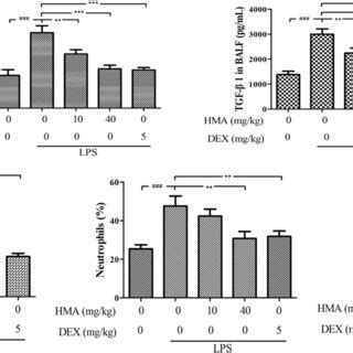 Anti Inflammatory Effects Of HMA In LPS Induced RAW 264 7 Macrophages