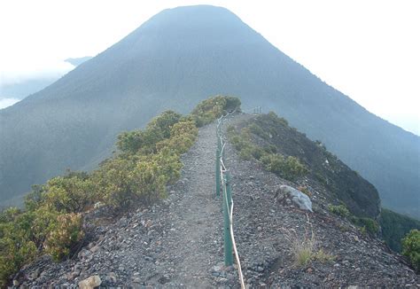 Amazing Indonesia Hiking On Gede Pangrango Mountain