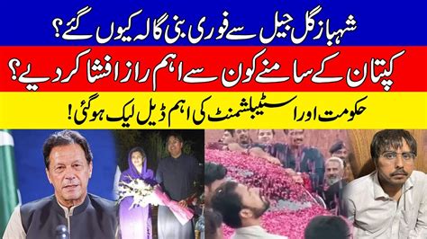 Good News For Imran Khan Pti Why Did Shahbaz Gill Go To Bani Gala