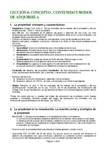 Tema 6 Civil III Pdf