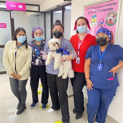 Santi El Perrito Que Acompa A A Los Ni Os En El Dentista Mestizos