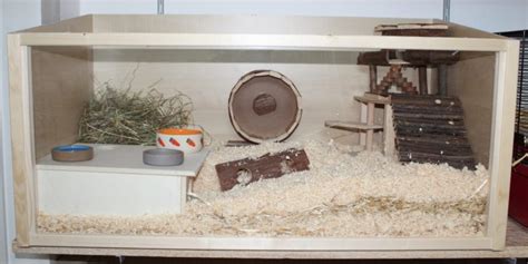 Hamsterkäfig aus Glas Nagarium Perfekt zum Buddeln und Beobachten