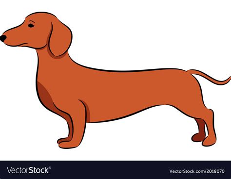 Dachshund Royalty Free Vector Image VectorStock