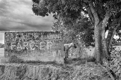 Radiografía Del Conflicto En Colombia Hoy