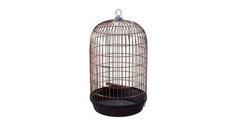 Birdcage Bird Cage 3d Model Cgtrader