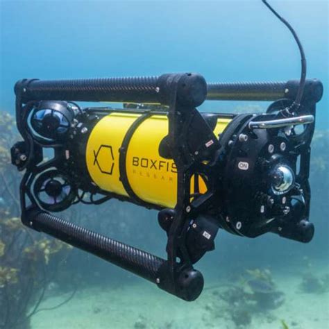 Boxfish Rov Features