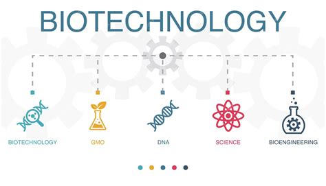 Biotecnología Omg Adn Ciencia Iconos De Bioingeniería Plantilla De Diseño Infográfico Concepto