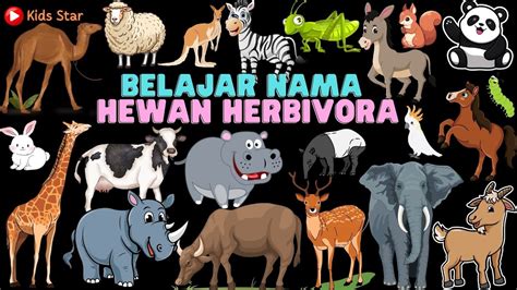 Belajar Nama Hewan Pemakan Tumbuhan Indonesia Inggris Herbivored