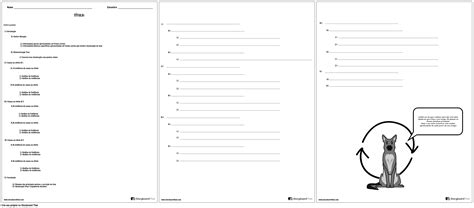 Esquema De Causa E Efeito Storyboard Por Pt Examples