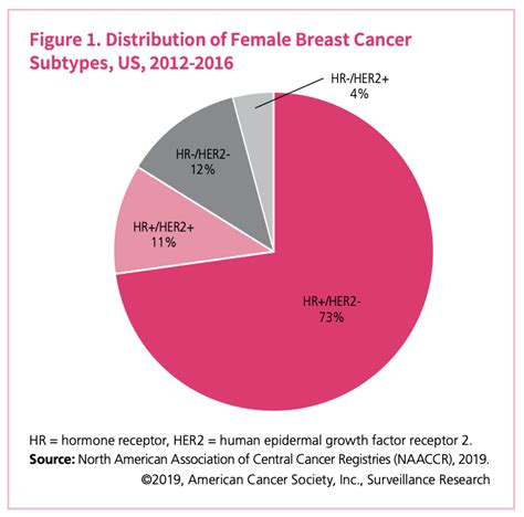 A Data Journey Through Breast Cancer Data Literacy