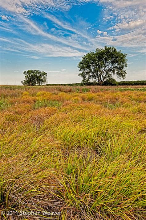 Kansas Prairies And Grasslands Fine Landscape And Nature Photography