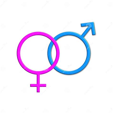 Female And Male Gender Symbols In Blue And Pink Colors Isolated On A White Background Stock