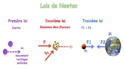 Exemples De La Troisi Me Loi Du Mouvement De Newton Avec Images