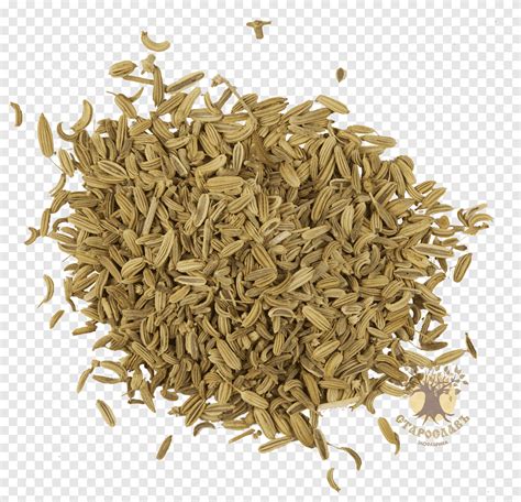 Earl Grey tea Hōjicha Caraway Spice tea food tea png PNGEgg